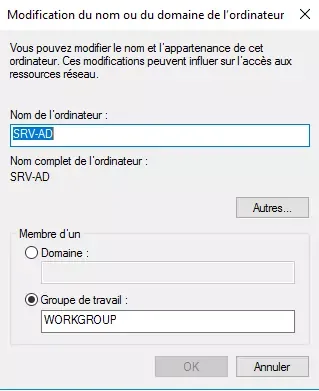 Renommez votre machine, cliquez sur Ok puis redémarrez